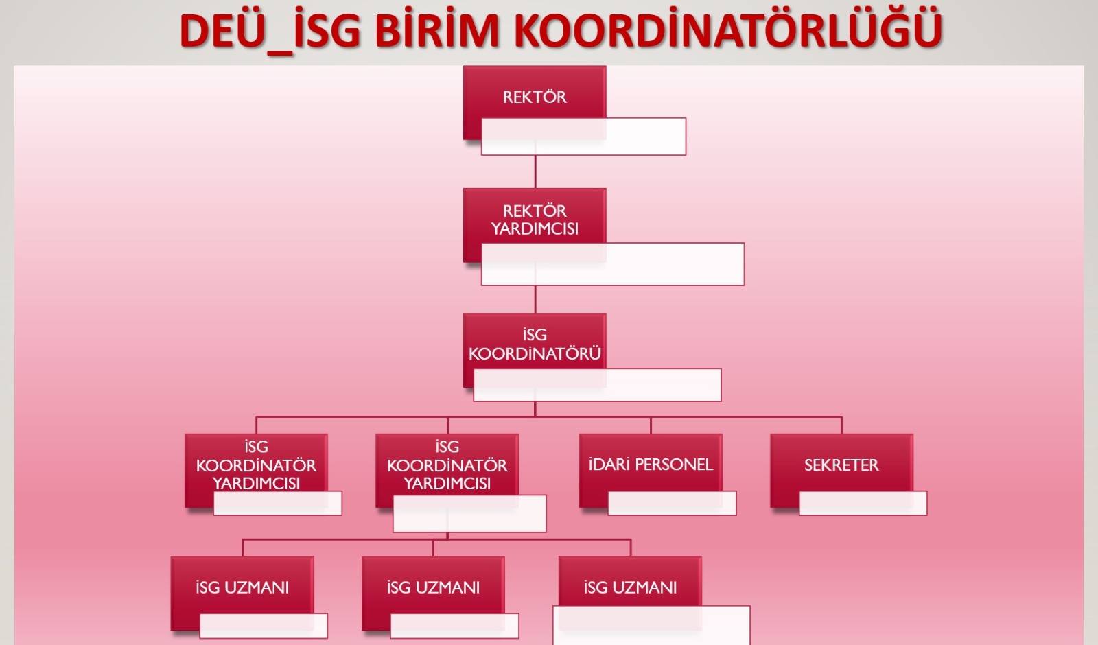 DEÜ İSG Birim Koordinatörlüğü Organizasyon Şeması
